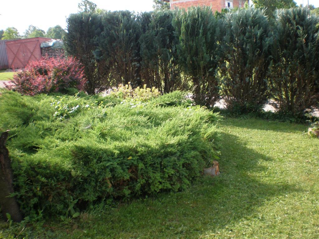 Apartment Vi&Mi Slunj Exterior photo
